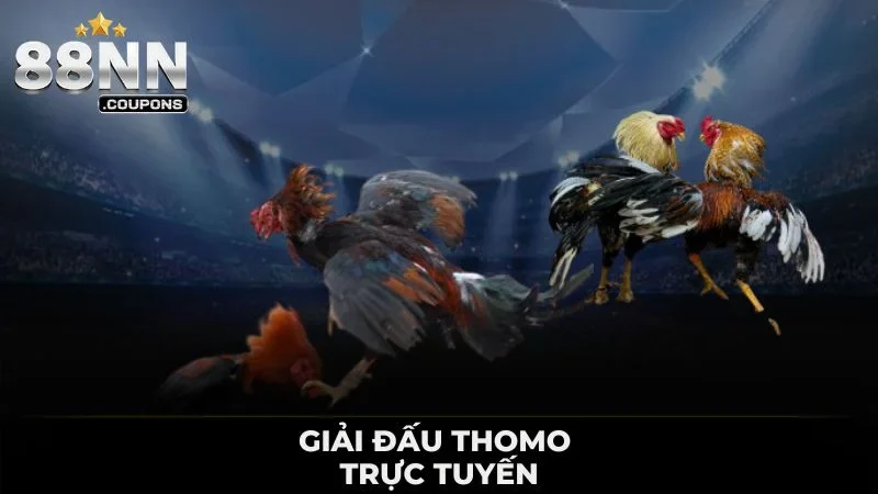 Giải đấu Thomo trực tuyến